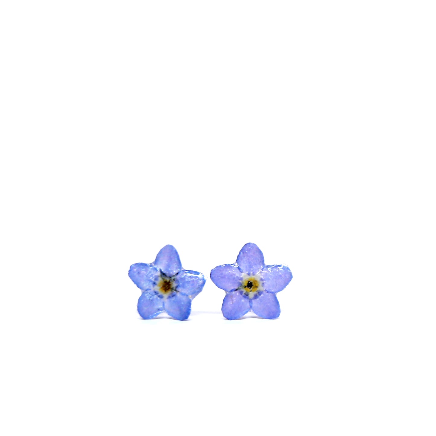 Forget Me Not Sterling Silver Stud Earrings