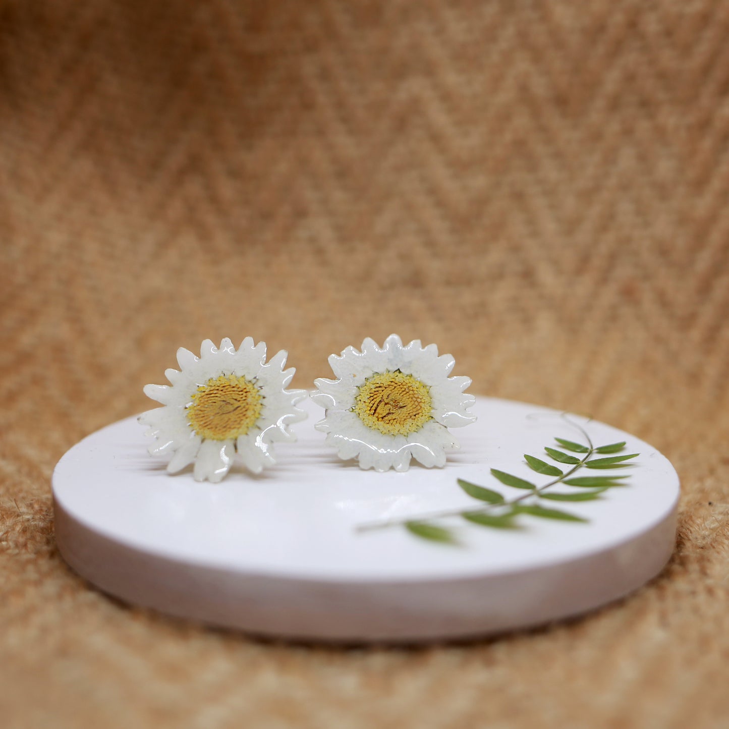Daisy Sterling Silver Studs