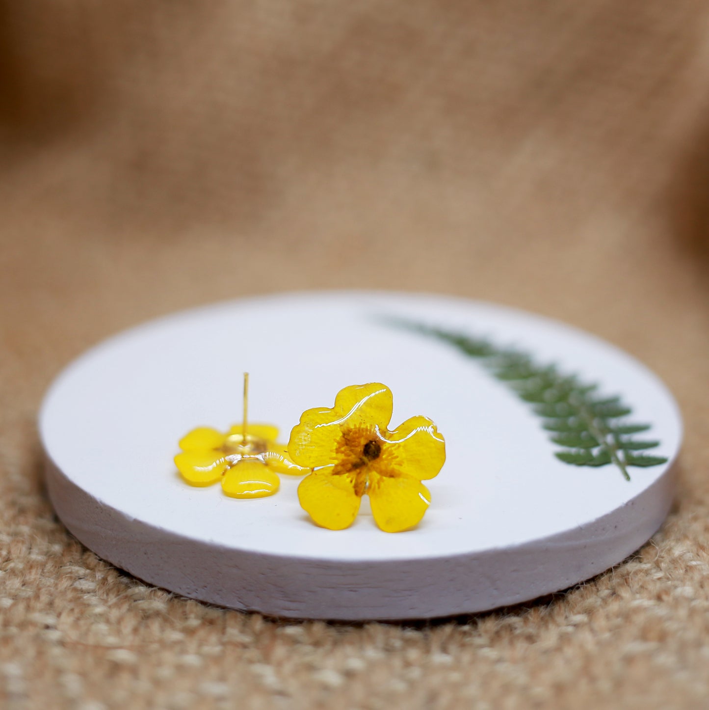 Buttercup Sterling Silver Stud Earrings