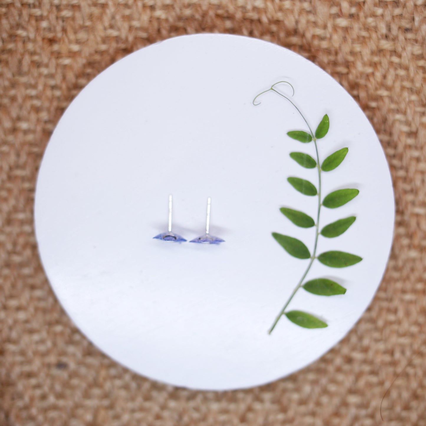 Forget Me Not Sterling Silver Stud Earrings