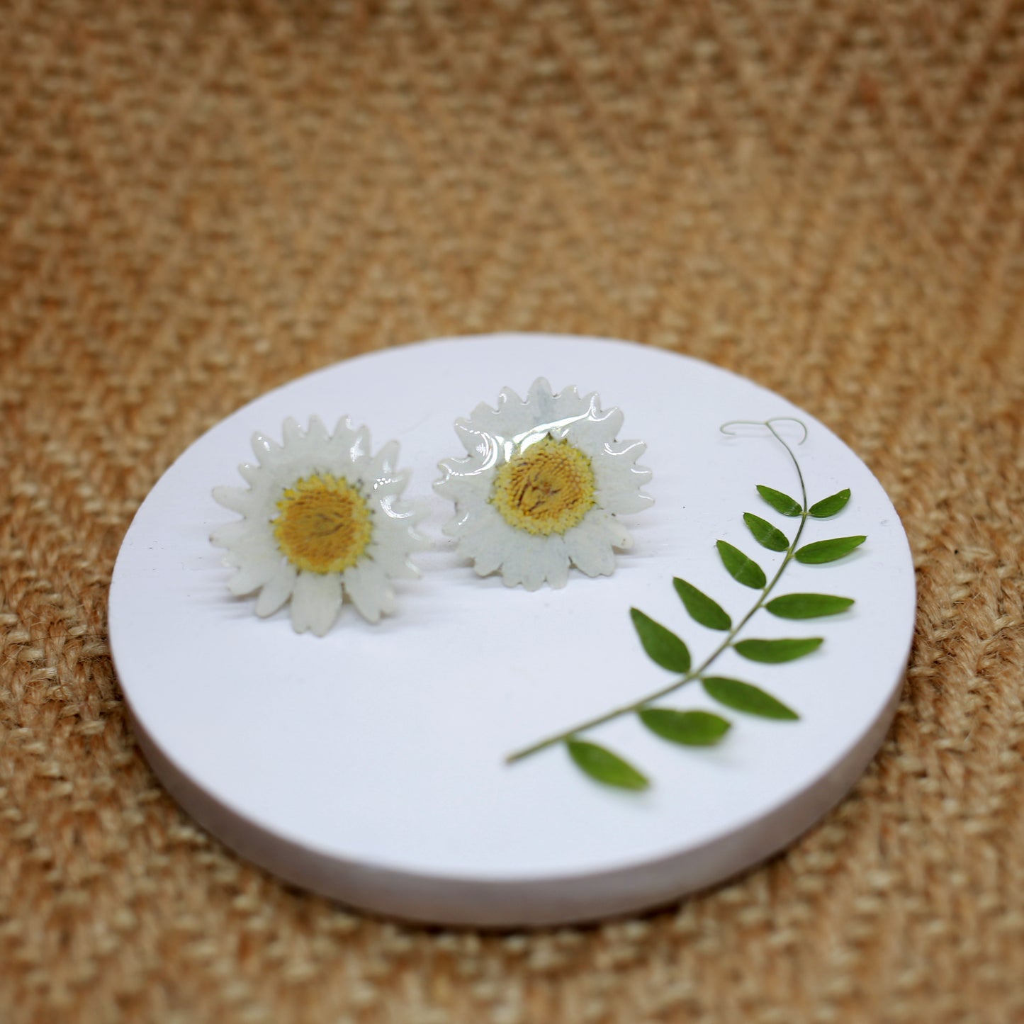 Daisy Sterling Silver Studs