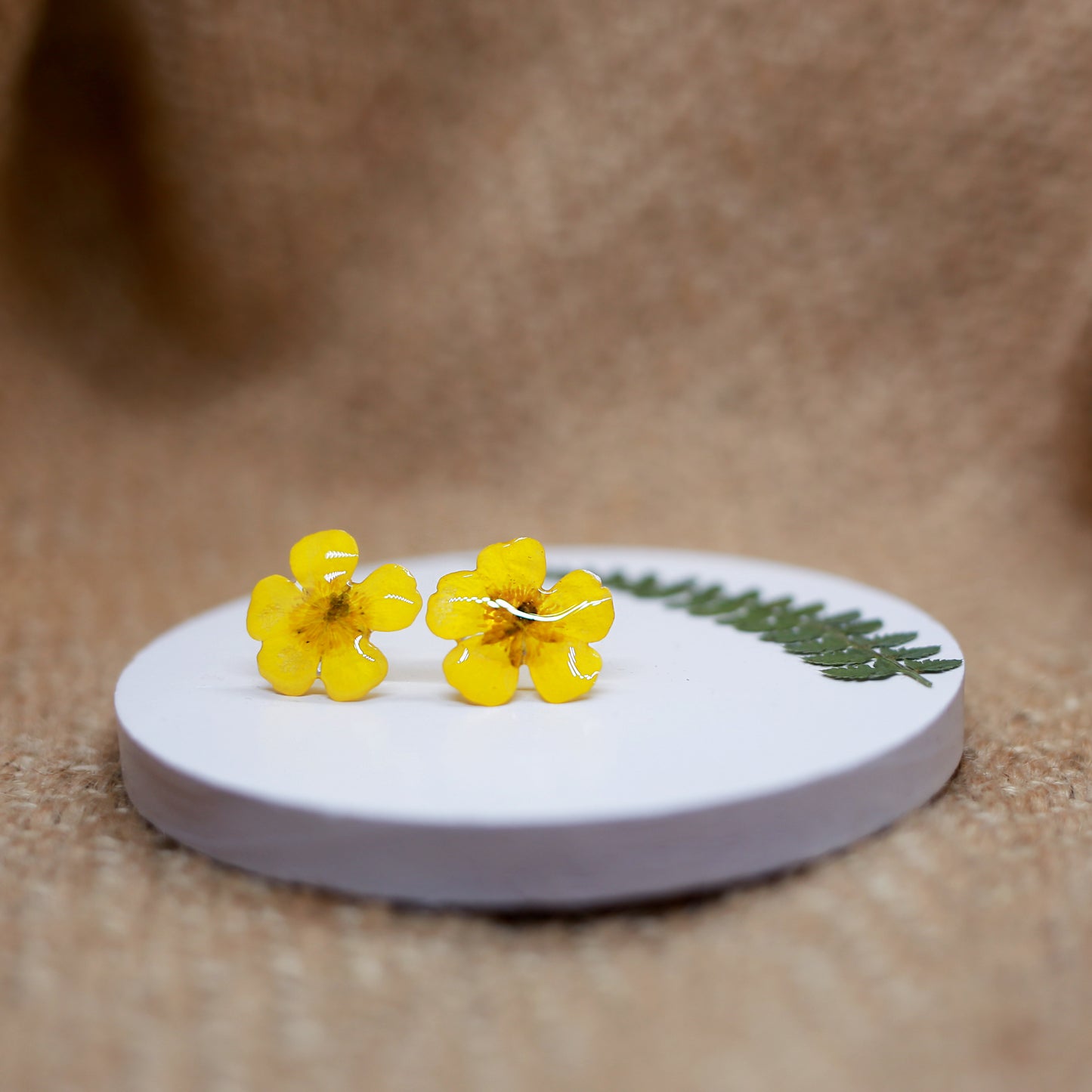 Buttercup Sterling Silver Stud Earrings