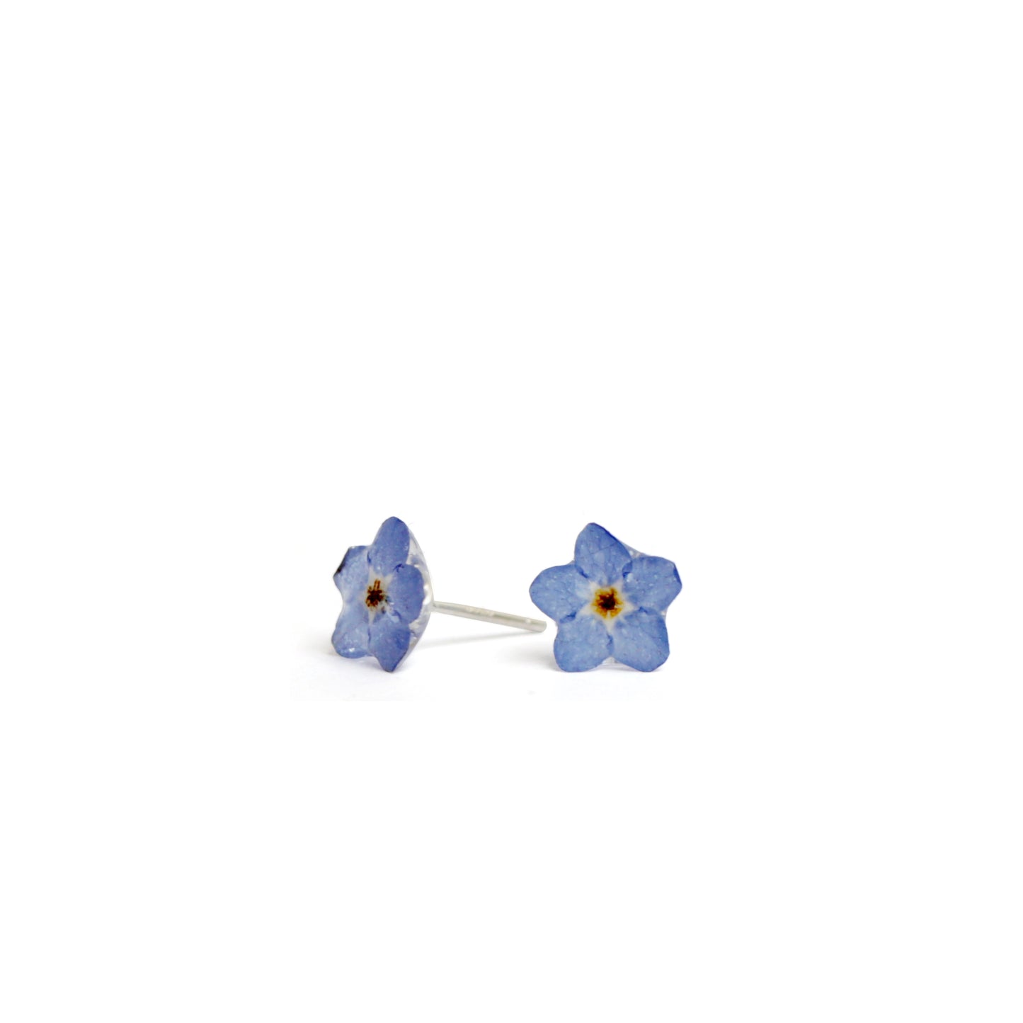 Forget Me Not Sterling Silver Stud Earrings