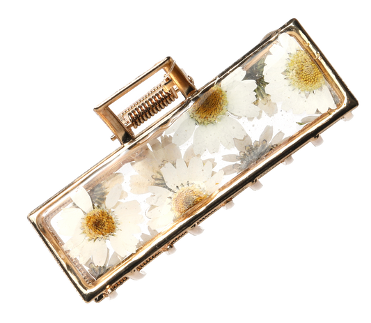 Framed Daisy Claw Clip